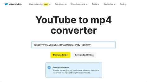 pornhub in mp4|YouTube to MP4 Converter